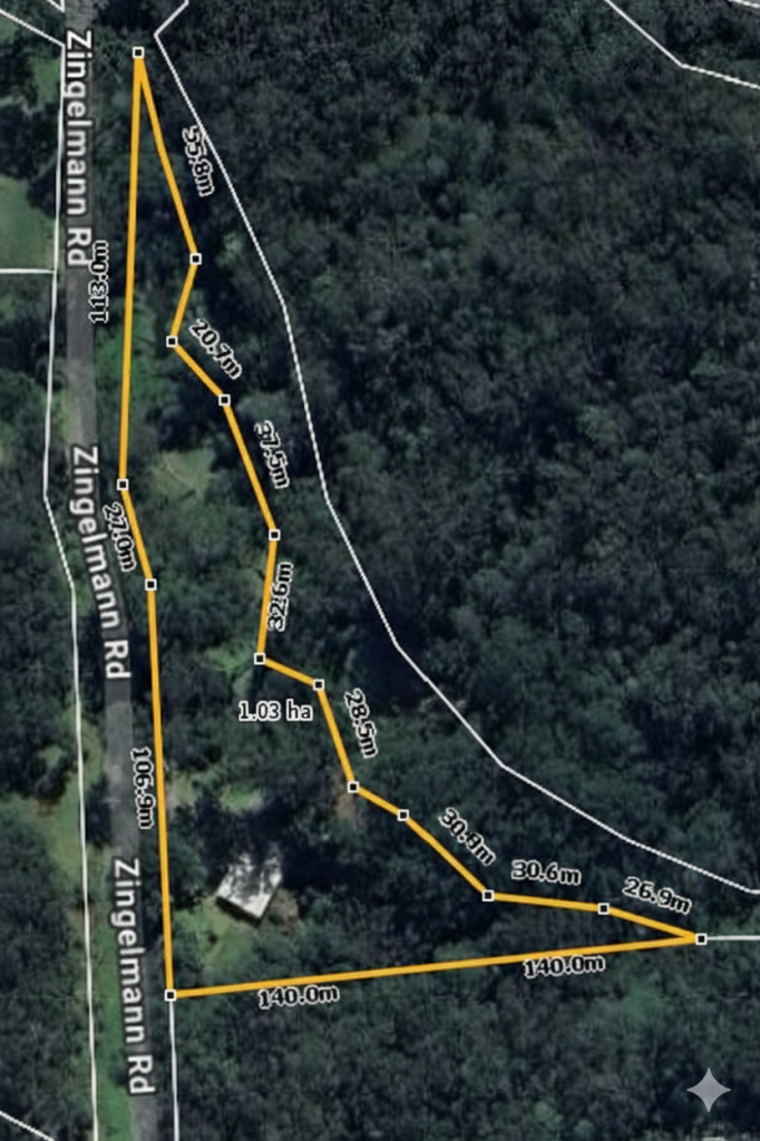 20 Zingelmann Rd, Wondecla, QLD 4887