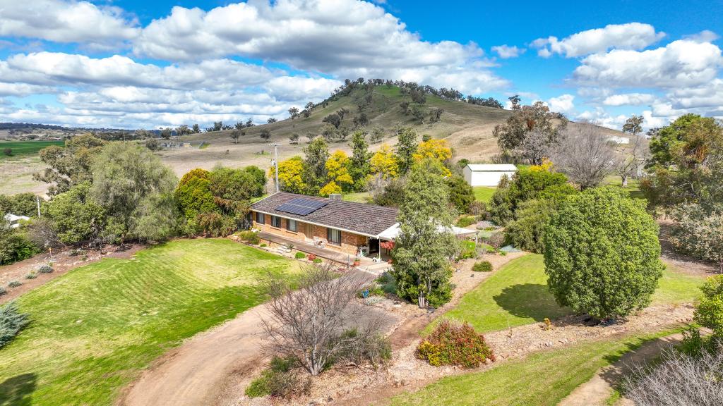 851 Black Gully Rd, Werris Creek, NSW 2341