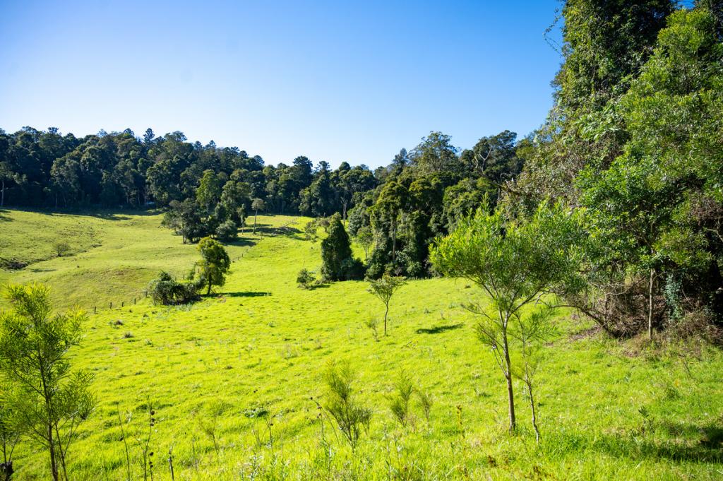 Lot 21 Spring Creek Rd, The Head, QLD 4373