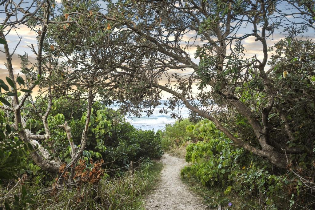 8/1 MURPHYS RD, KINGSCLIFF, NSW 2487