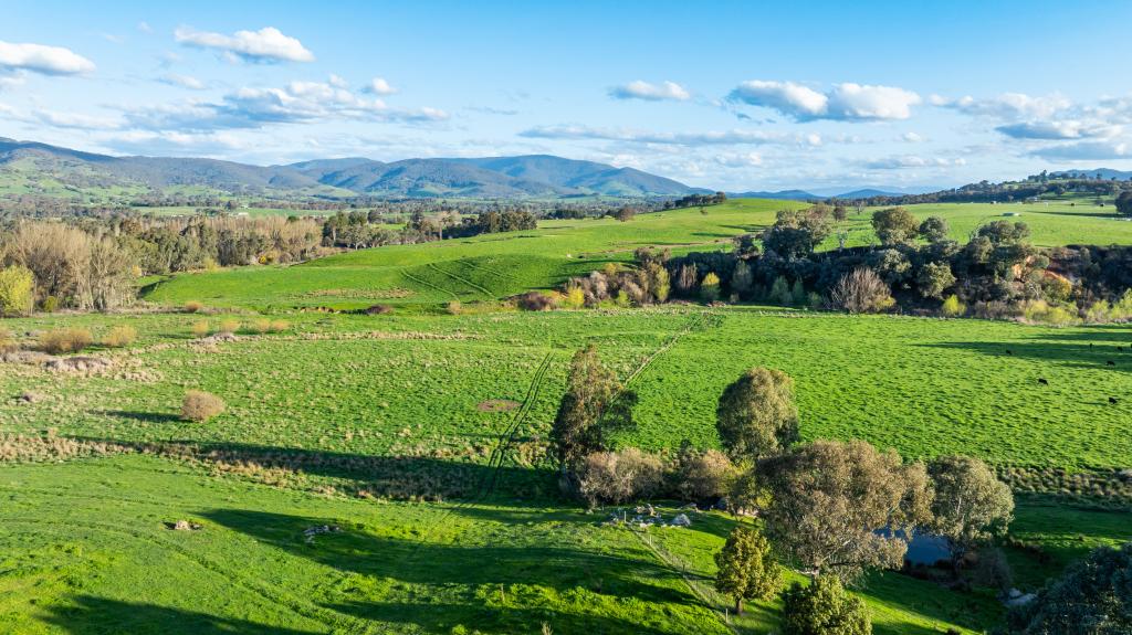 1317 Wodonga-Yackandandah Rd, Yackandandah, VIC 3749