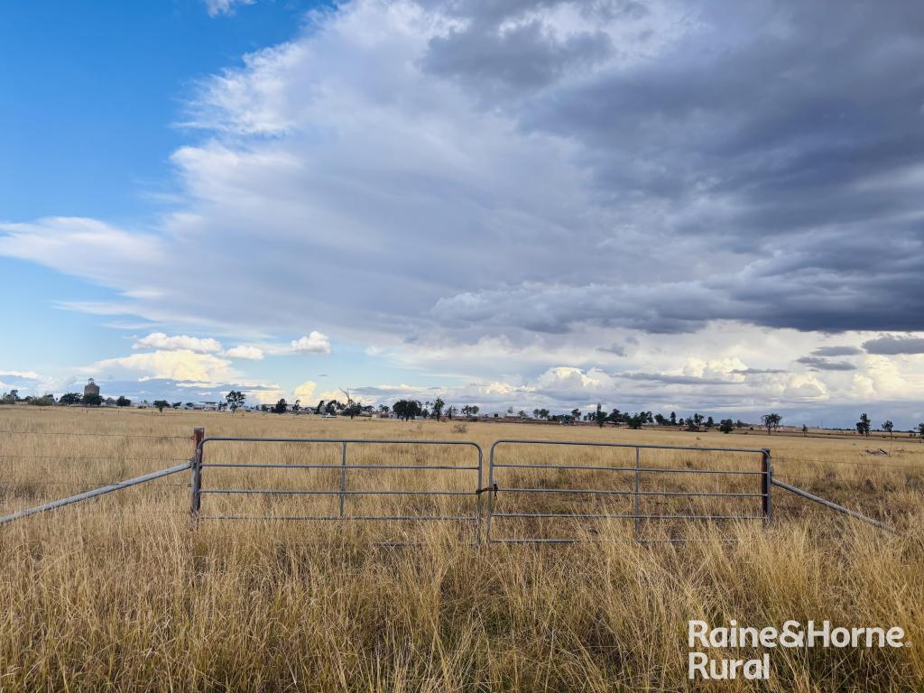 57 Upper Bowen St, Roma, QLD 4455