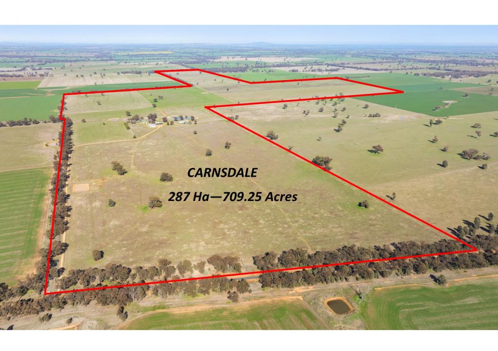 1624 Osborne Yerong Creek Rd, Yerong Creek, NSW 2642