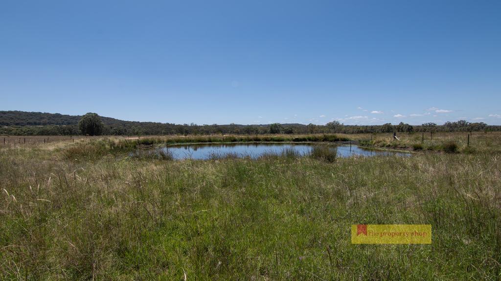 2/1921 BARNEYS REEF RD, GULGONG, NSW 2852