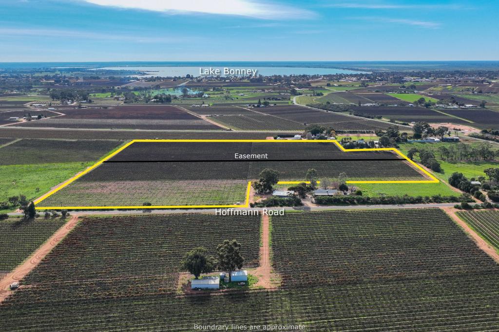 LOT 52 HOFFMANN RD, LOVEDAY, SA 5345