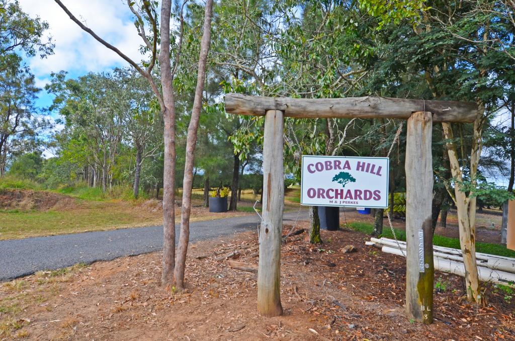 50 Cobra Rd, Mareeba, QLD 4880