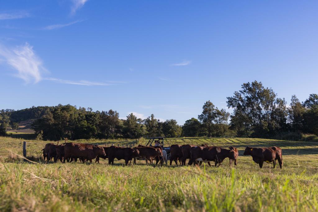 Lot 1 Tuchekoi Rd, Tuchekoi, QLD 4570