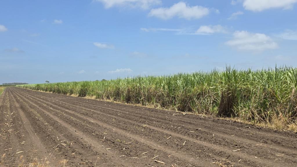 665 And 691 Kilgin Rd, Kilgin, NSW 2472