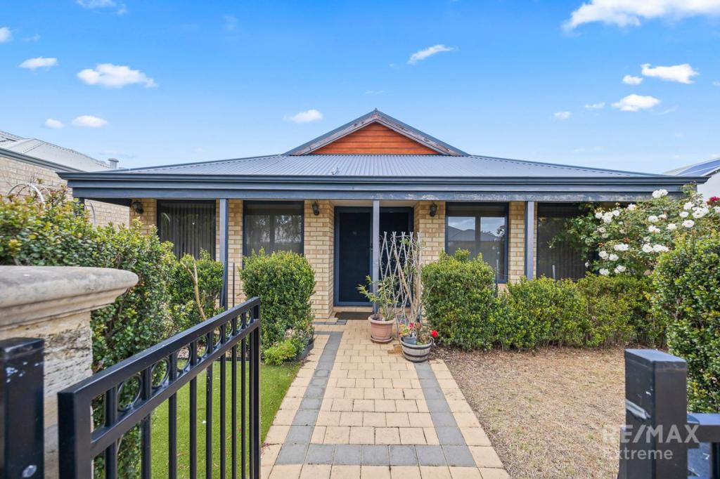 16 Arthog St, Butler, WA 6036