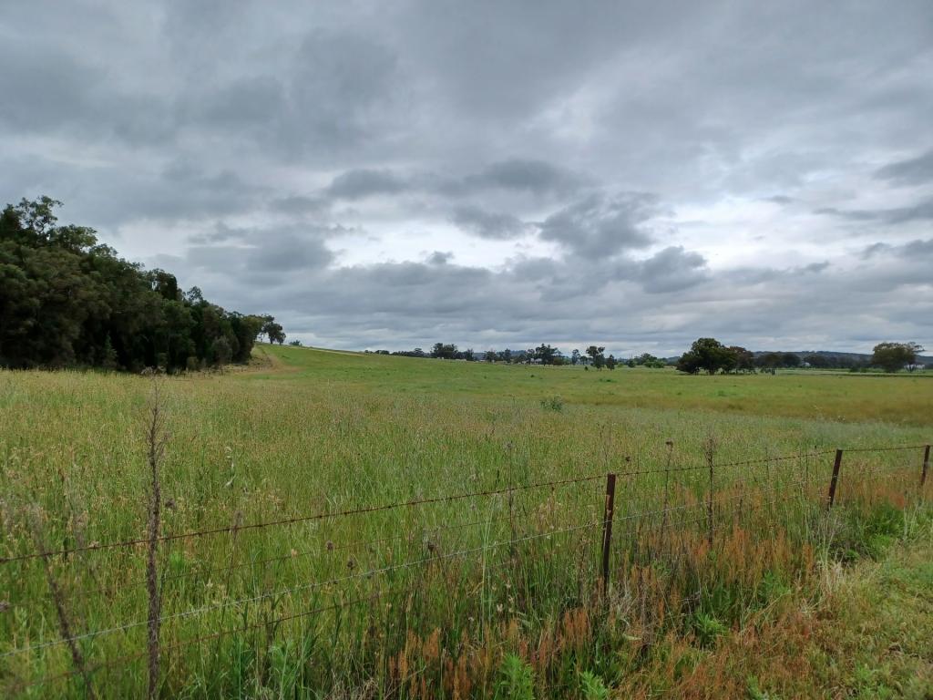 Lot 5/277 Blacksprings Rd, Eurunderee, NSW 2850