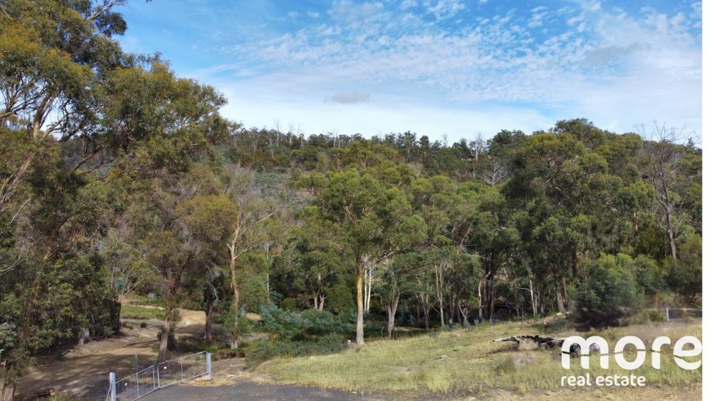 490 Molesworth Rd, Molesworth, TAS 7140
