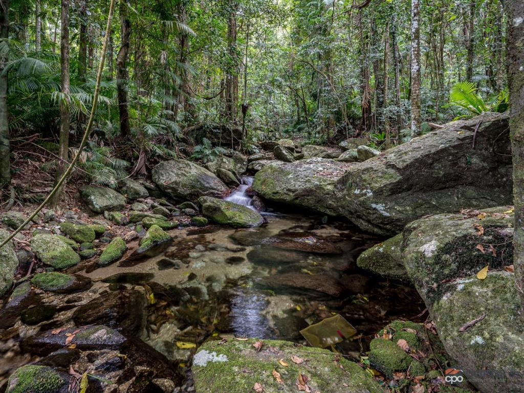 834 Kruckow Rd, East Russell, QLD 4861