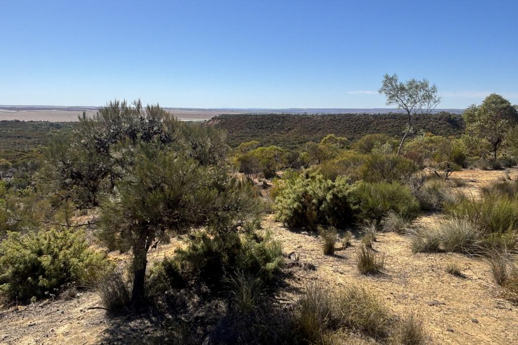 3659 Geraldton Mount Magnet Rd, Wicherina, WA 6532
