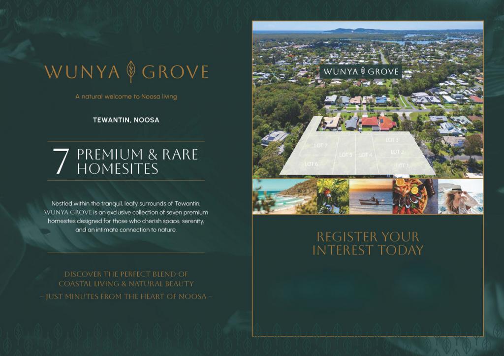 12 Gympie St, Tewantin, QLD 4565