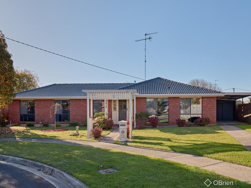 12 Castlefield Ct, Warragul, VIC 3820