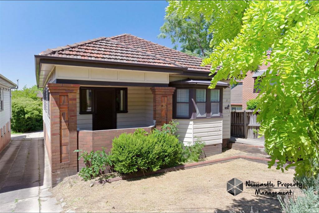 59 Lorna St, Waratah, NSW 2298