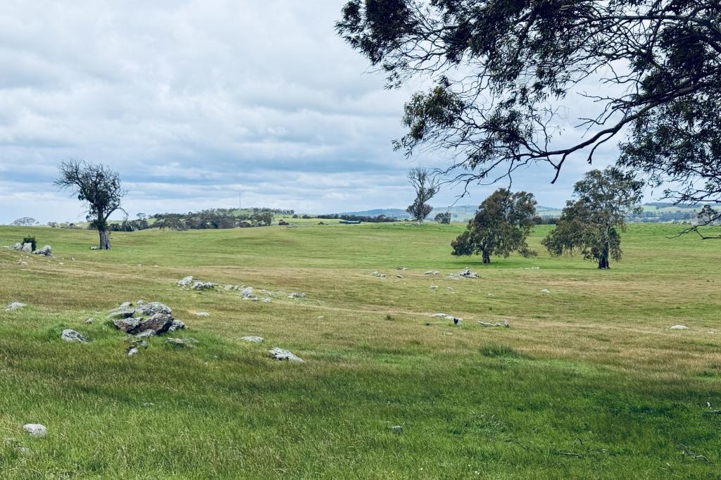 Lot 115 Mcgormans Rd, Tungkillo, SA 5236