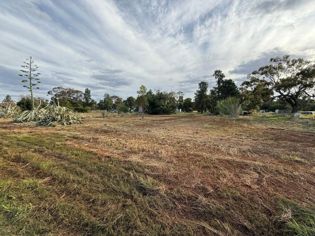 Lot 126 The Bogan Way, Gunningbland, NSW 2876