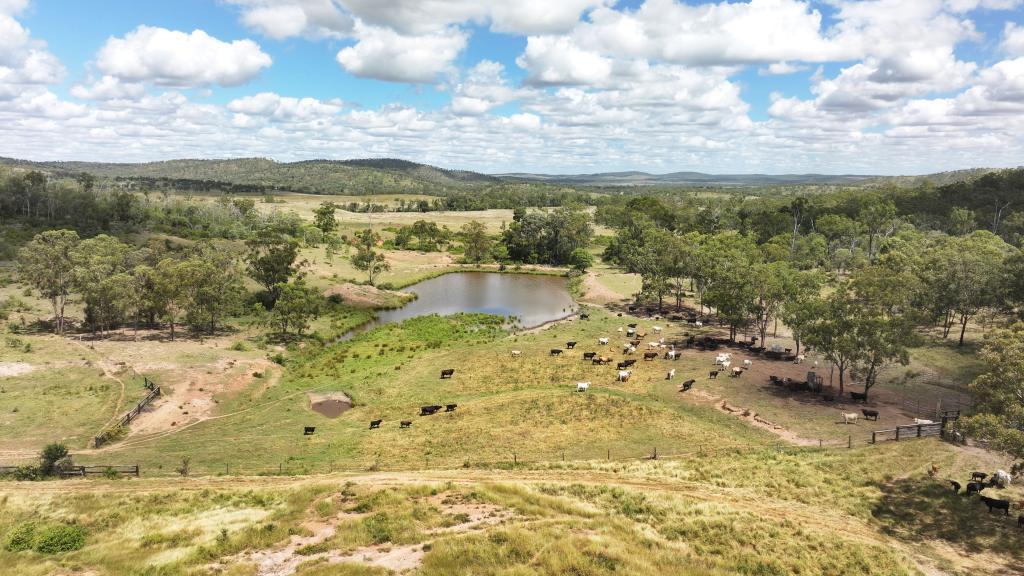 'Boomer' Rookwood Rd, Gogango, QLD 4702