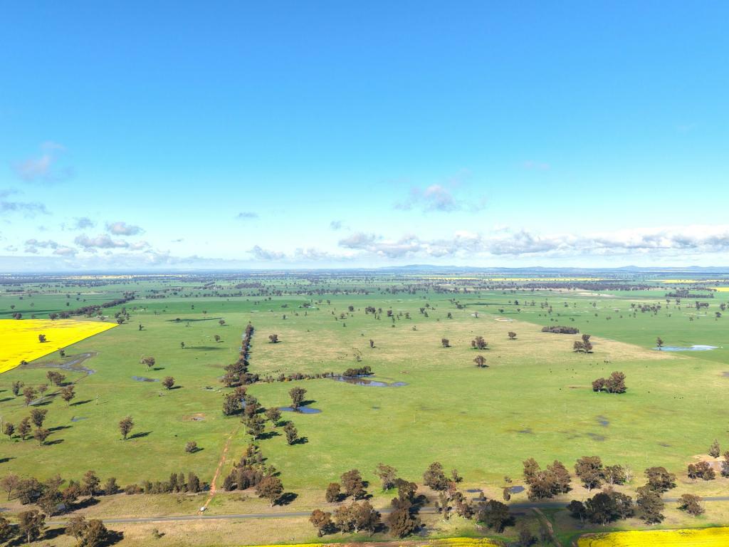 1539 Bland Rd, Quandialla, NSW 2721