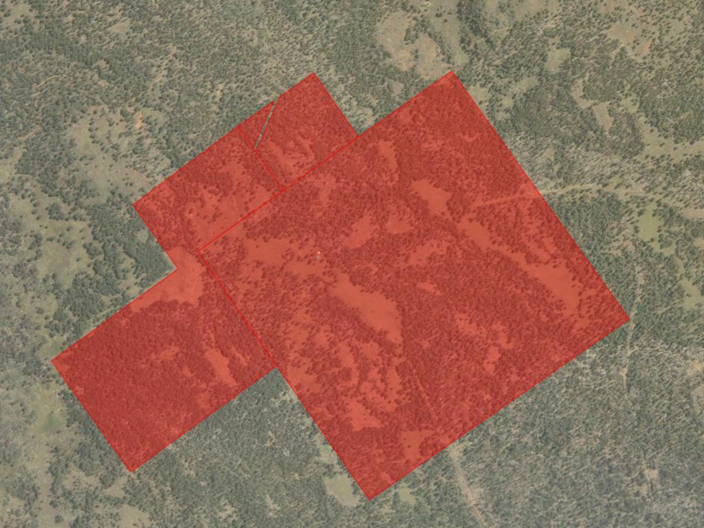 1 Glovers Rd, Bothwell, TAS 7030