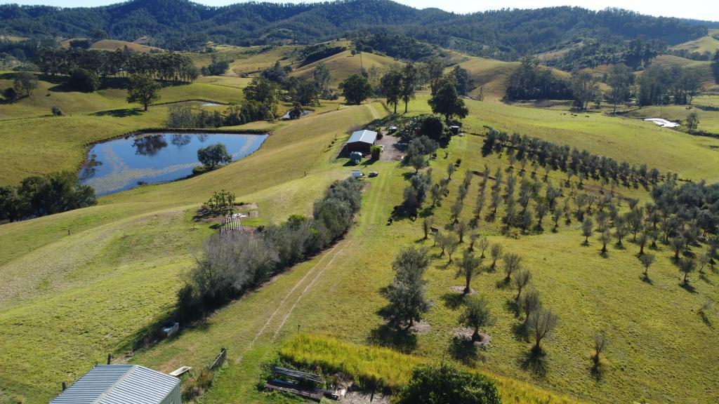 309 Welshs Creek Rd, Talarm, NSW 2447