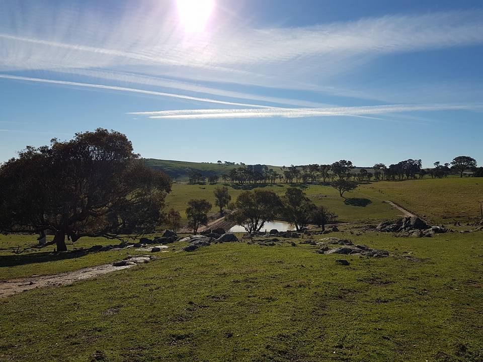 2400 Sapphire Rd, Wheeo, NSW 2583