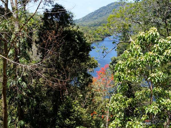 3228 Rossville Bloomfield Rd, Bloomfield, QLD 4895