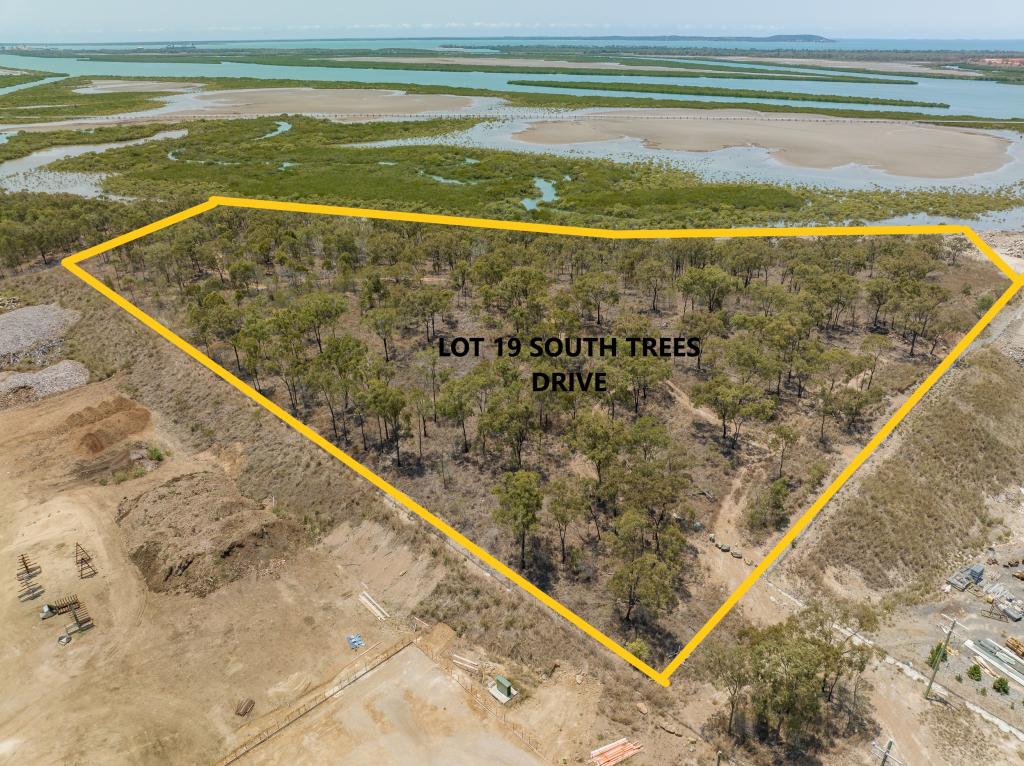 LOT 19 SOUTH TREES DR, SOUTH TREES, QLD 4680