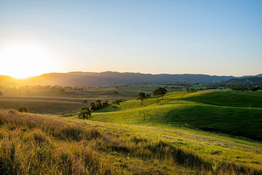 1890 MALENY KENILWORTH RD, CONONDALE, QLD 4552