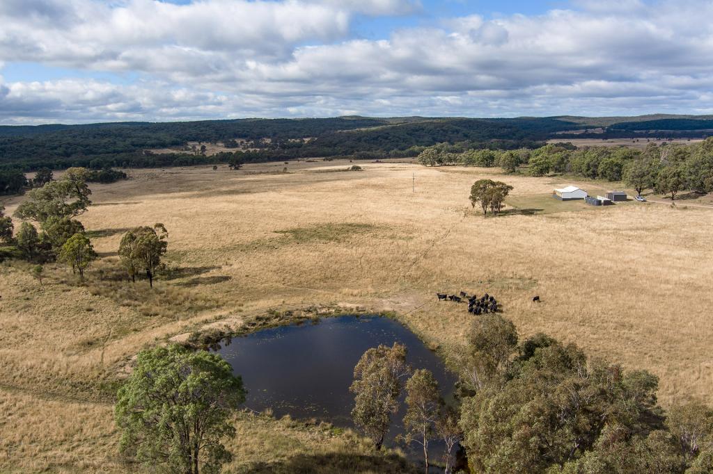 962 Blue Springs Road Cope, Gulgong, NSW 2852