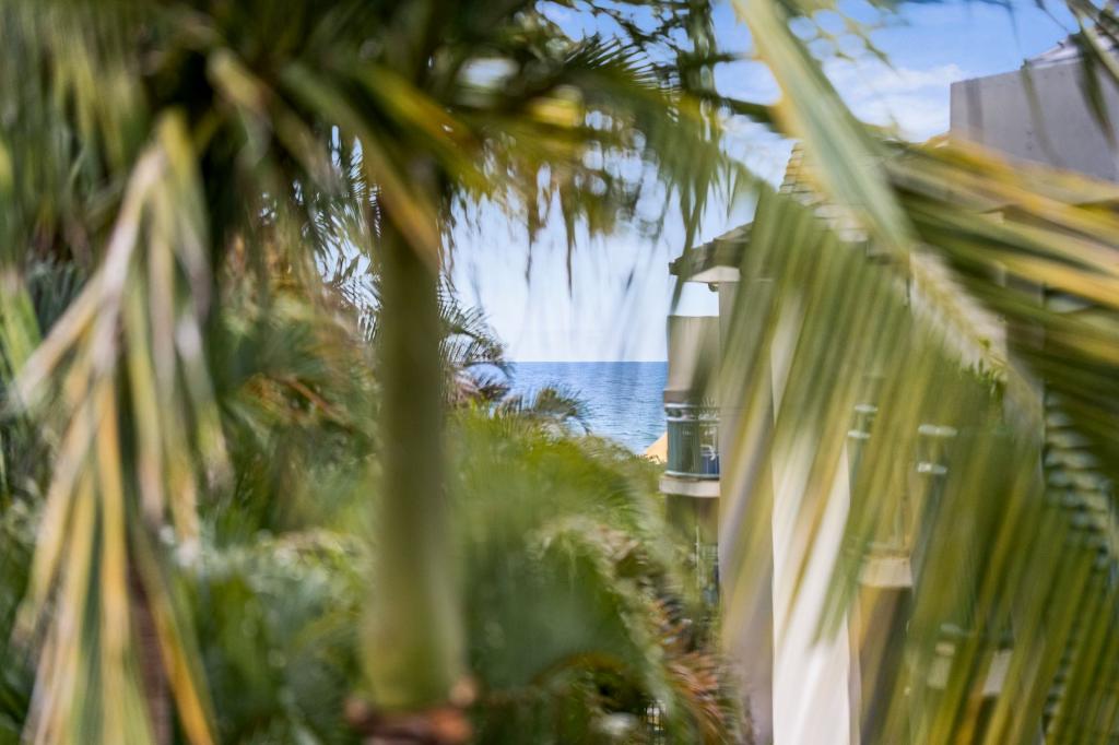 25/955 Gold Coast Hwy, Palm Beach, QLD 4221