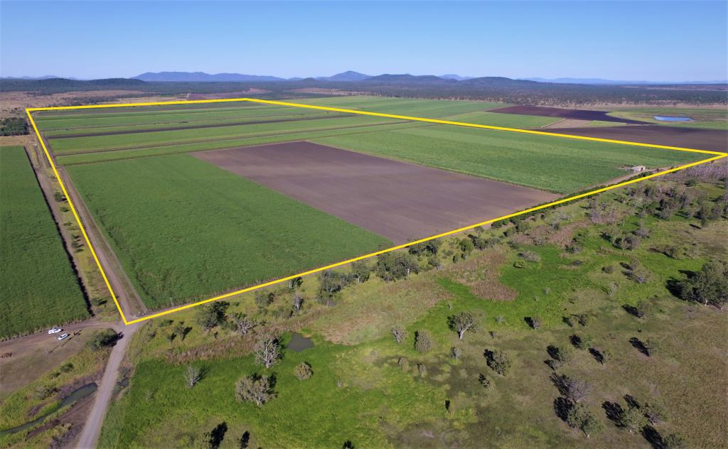 218 Oats Rd, Fredericksfield, QLD 4806