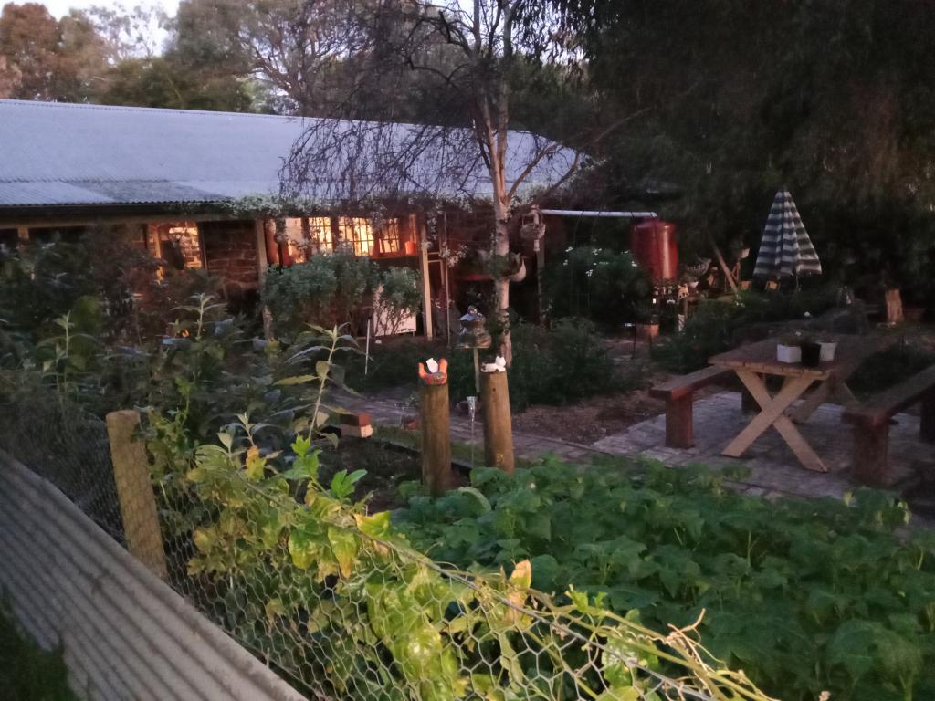 31 Bayview Ave, Tenby Point, VIC 3984