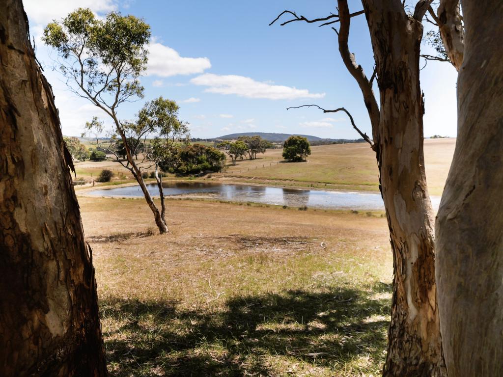 30 Bonds Rd, Nangkita, SA 5210