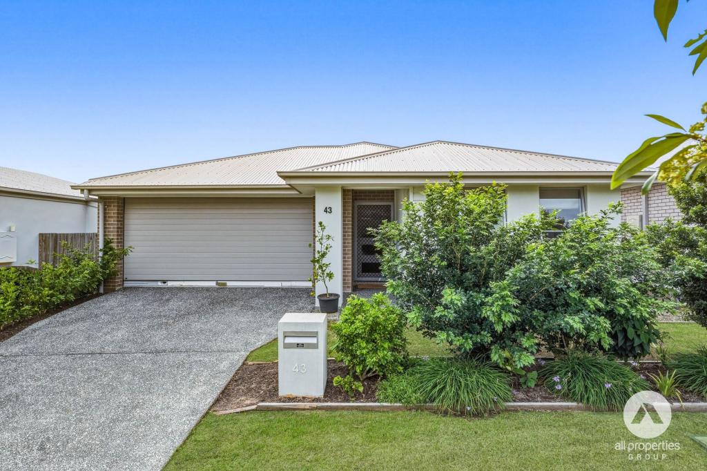 43 Dorrigo St, Yarrabilba, QLD 4207