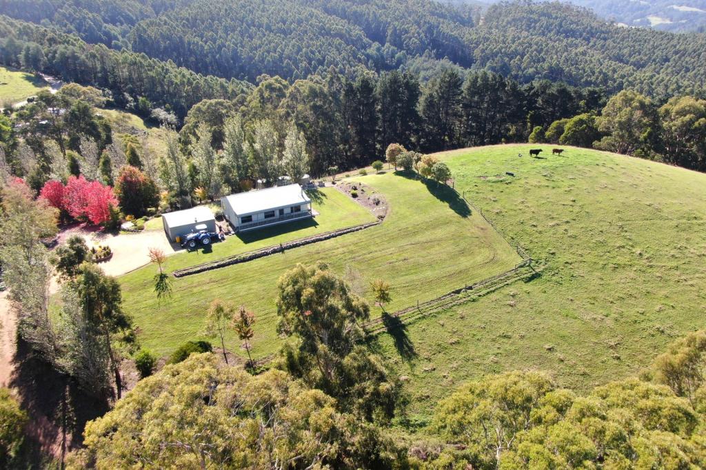 1938 Yarragon - Leongatha Rd, Allambee, VIC 3823