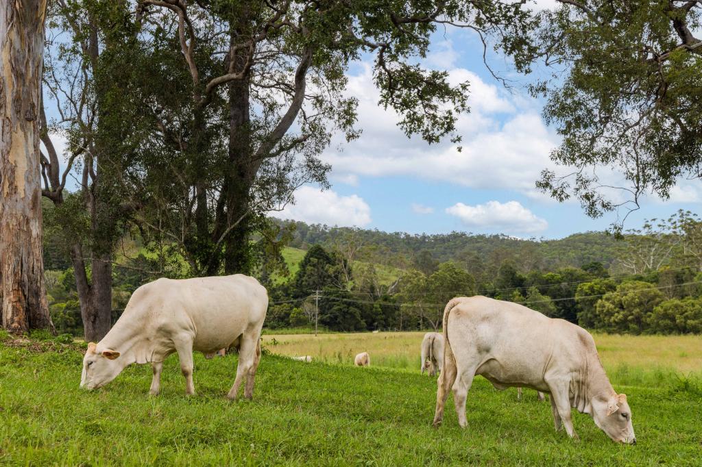 Contact Agent For Address, Belli Park, QLD 4562