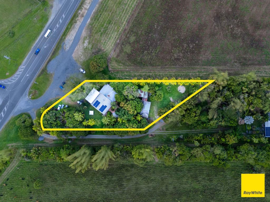 2539 Mossman Daintree Rd, Lower Daintree, QLD 4873