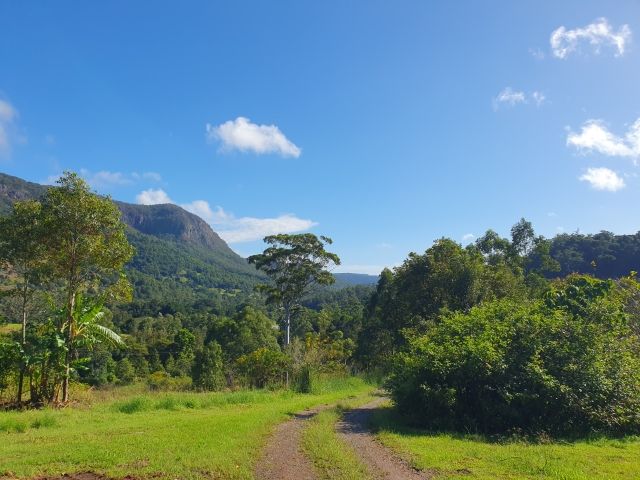 3053 Nerang - Murwillumbah Rd, Natural Bridge, QLD 4211