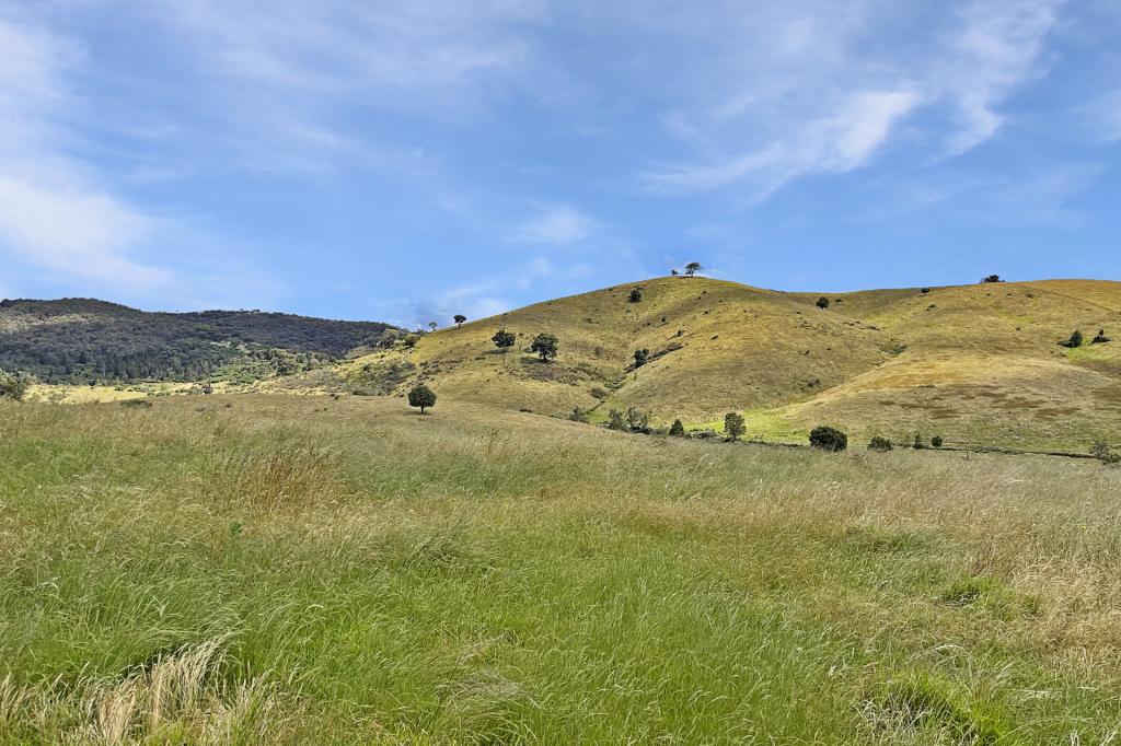 Mount Darling Rd, Wyangala, NSW 2808