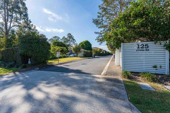 125 Cowie Rd, Carseldine, QLD 4034