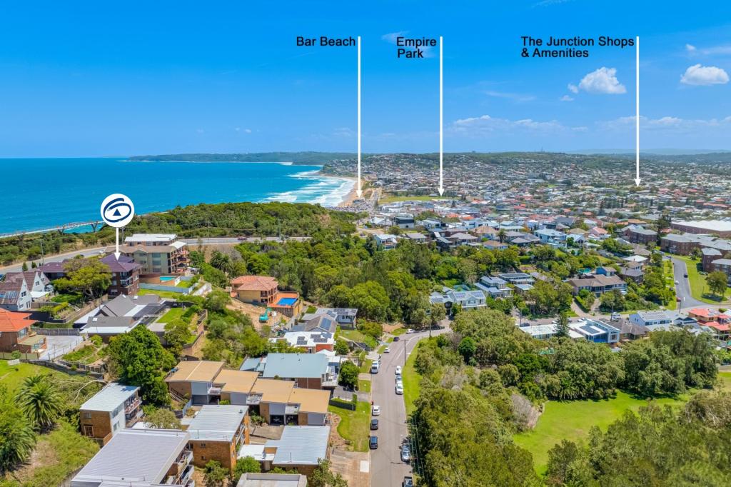 4/26 Memorial Dr, The Hill, NSW 2300