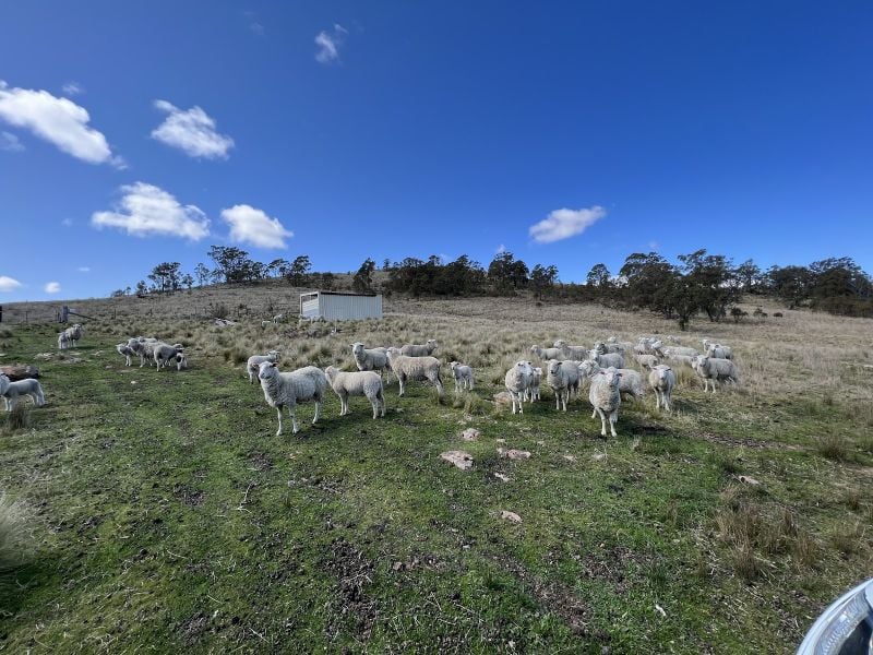 Lot 188 Hanworth Rd, Bannaby, NSW 2580