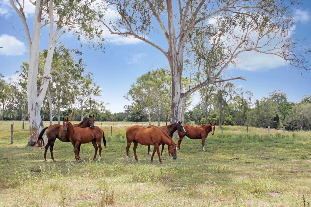 148 ALEXANDER LANE, HARRISVILLE, QLD 4307