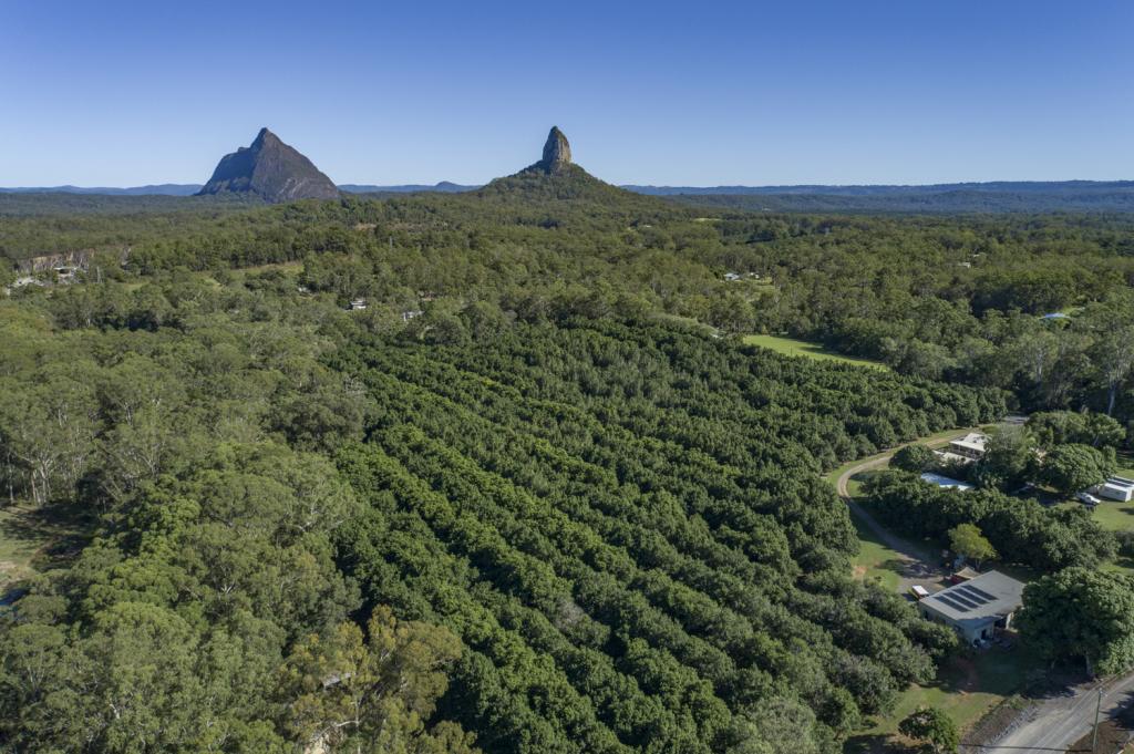 269 COONOWRIN RD, GLASS HOUSE MOUNTAINS, QLD 4518
