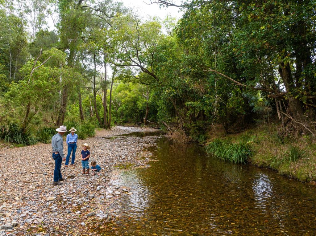 152 Red Gully Rd, Burrell Creek, NSW 2429