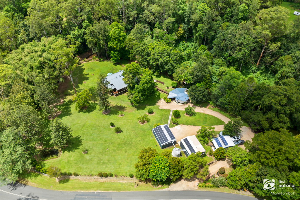 3589 Kyogle Rd, Mount Burrell, NSW 2484