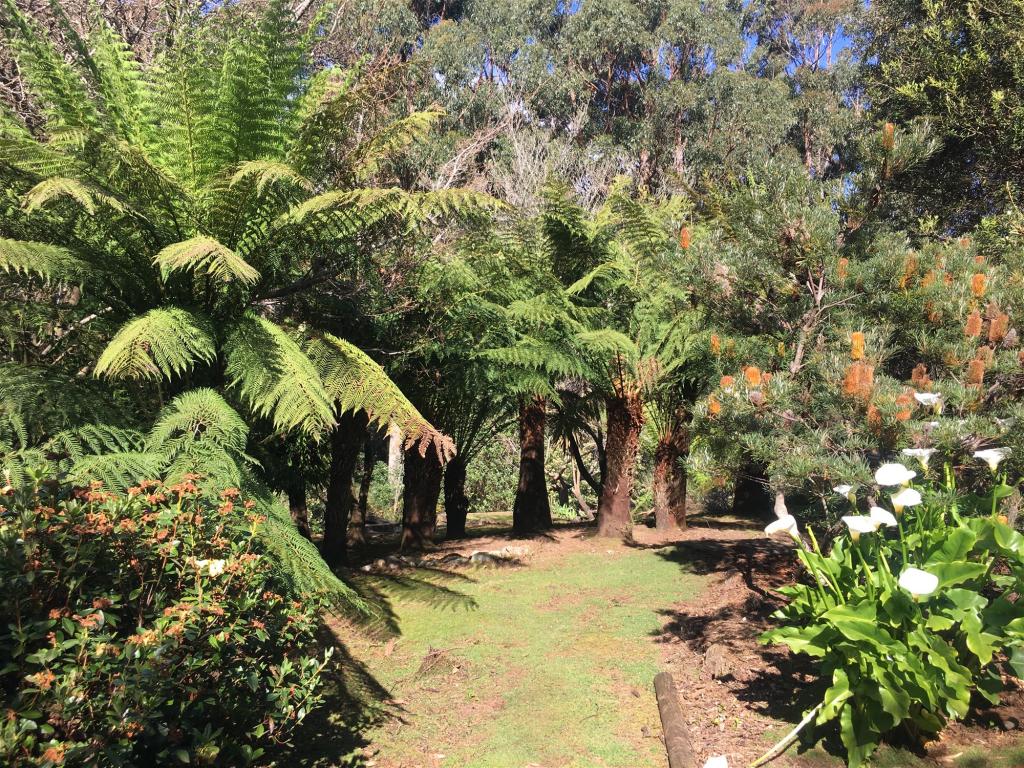 198 Whitehills Rd, Penguin, TAS 7316