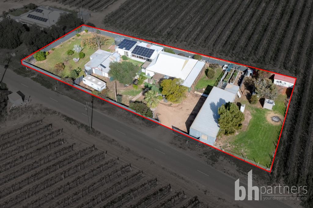 55 Pommy Ave, Barmera, SA 5345